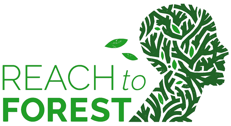 Reach To Forest