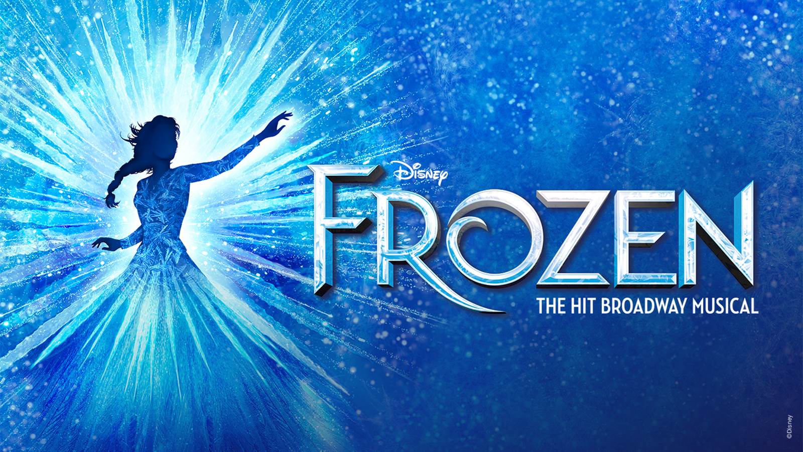 Disney's Frozen logo with princess character illustration to the left. Text below the title says The Hit Broadway Musical.